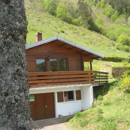 Chalet Les Jonquilles La Bresse Kültér fotó
